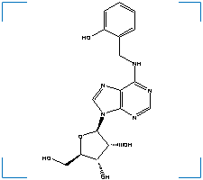 The chemical structure of Adenosine, N-((2-hydroxyphenyl)methyl)
