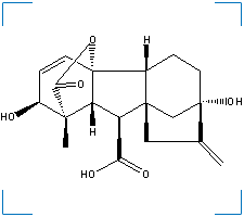 The chemical structure of Gibberellic acid