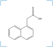 The chemical structure of 1-Naphthalene acetic acid