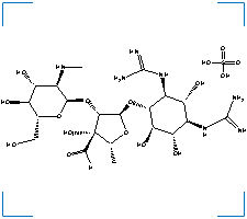 The chemical structure of Streptomycin Sulfate
