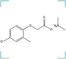 The chemical structure of 2-Methyl-4-Chlorophenoxyacetic Acid, Dimethylamine Salt