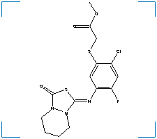 The chemical structure of Acetic Acid, ((2-Chloro-4-Fluoro-5-((Tetrahydro-3-Oxo-1H,3H-(1,3,4)Thiadiazolo(3,4-A)Pyridazin-1-Ylidene)Amino)Phenyl)Thio)-, Methyl Ester