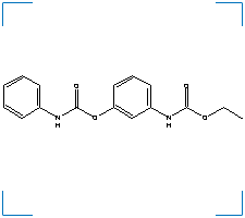 The chemical structure of Desmedipham
