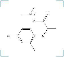 The chemical structure of Dimethylamine 2-(2-Methyl-4-Chlorophenoxy)Propionate