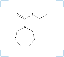 The chemical structure of Molinate