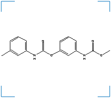 The chemical structure of Phenmedipham