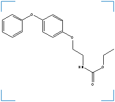 The chemical structure of Fenoxycarb