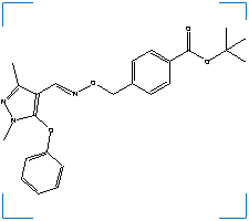 The chemical structure of Fenpyroximate
