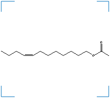 The chemical structure of (Z)-8-Dodecenyl Acetate