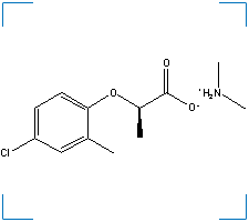 The chemical structure of Dimethylamine (R)-2-(2-methyl-4-chlorophenoxy)propionate