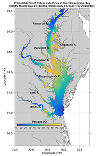 Probability of Vibrio vulnificus in the Chesapeake Bay
