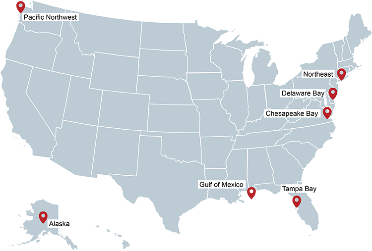 United States Vibrio Forecast Map